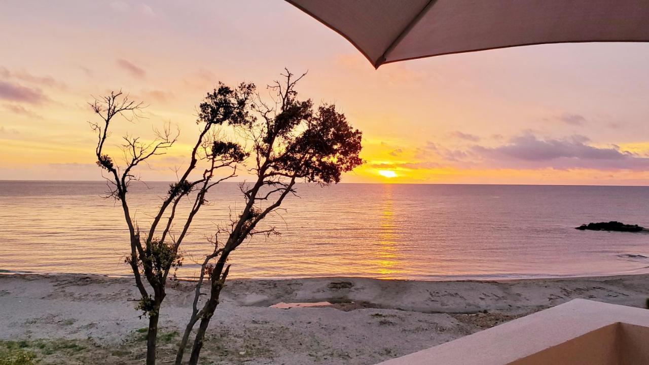 Residence Marina Di Bravone Linguizzetta Buitenkant foto